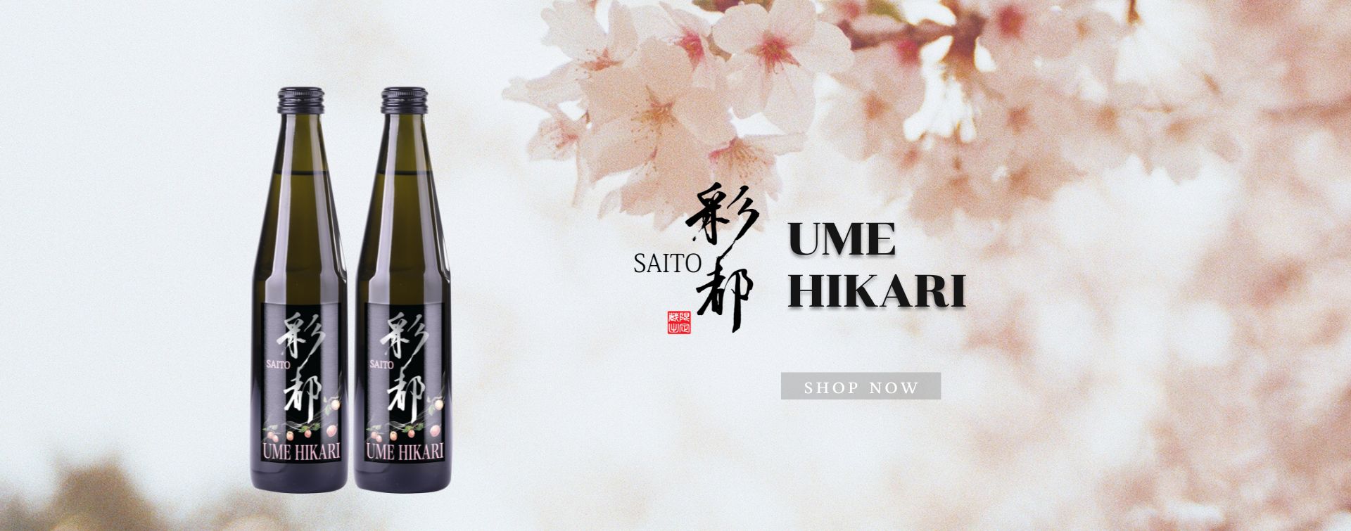SAITO UME HIKARI